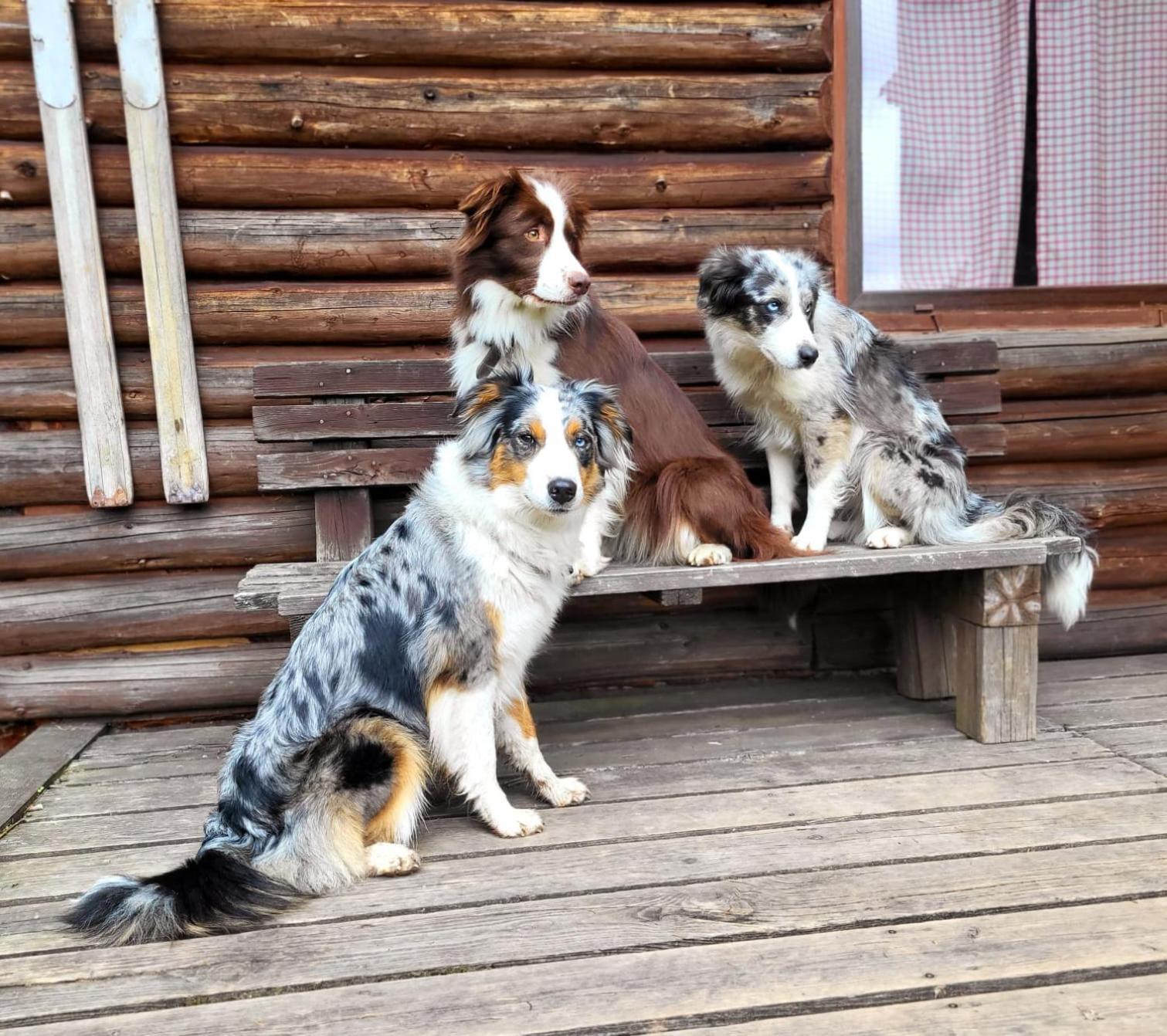 Srub na svahu sjezdovky v Radvanicích Radvanice  Exterior foto